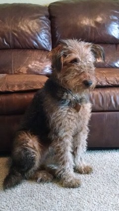 IMG_20180319_174442886