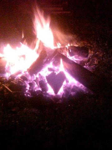 301091_2215092411351_1388302_n